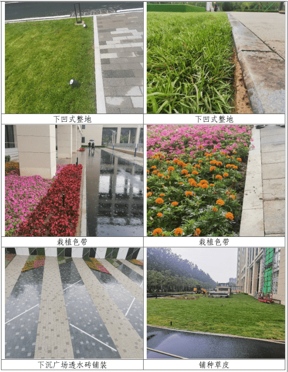 1636093259962867.png 2.png