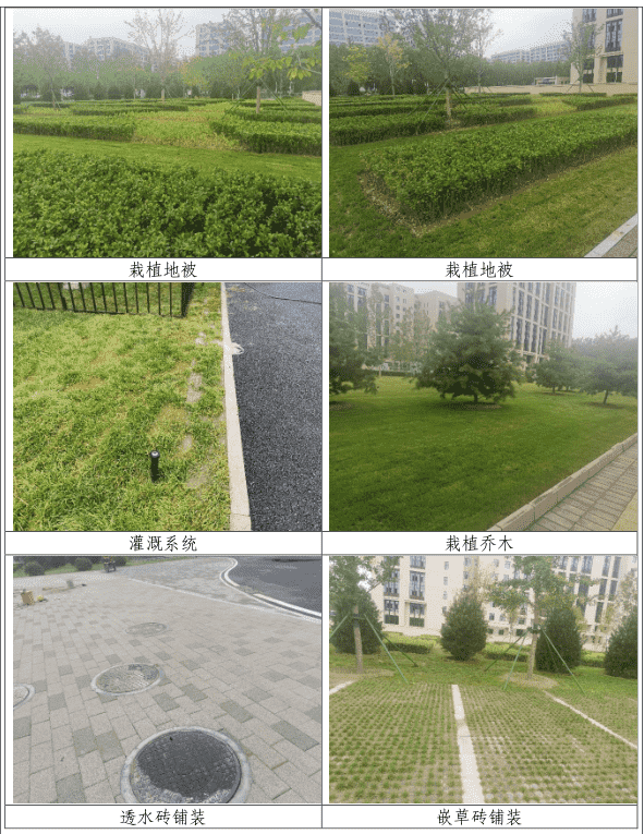 1636093266586639.png 3.png