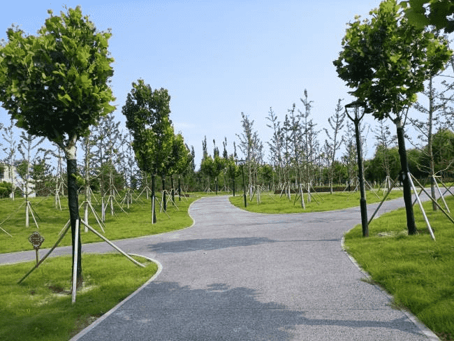 1636099296668661.png 6.png