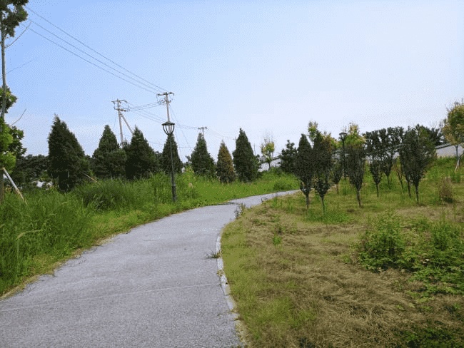 1636099514695842.png 10.png